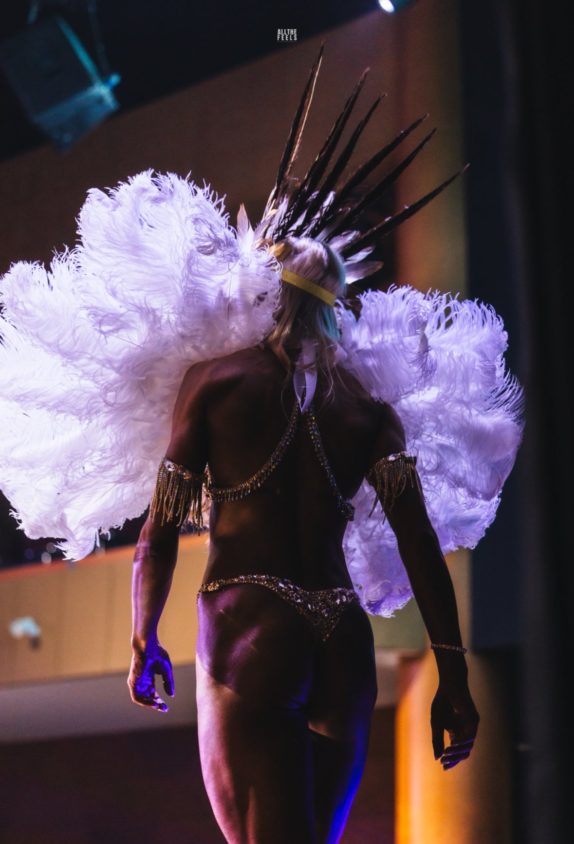 Statement White and Gold Feather Themewear