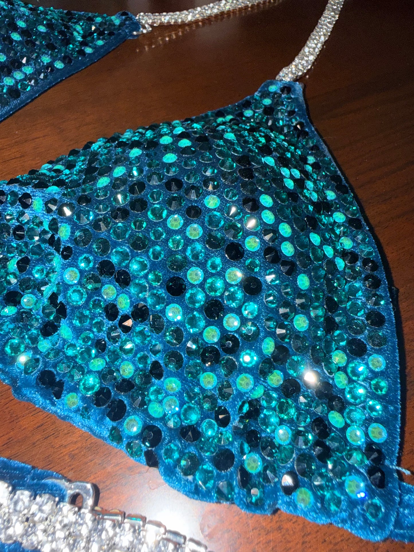 Divine IFBB wellness cut stage bikini